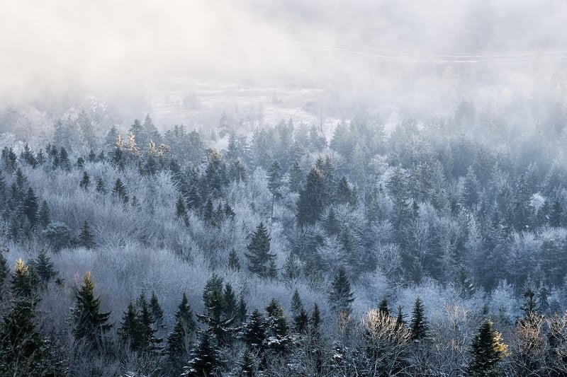 Lost in the Wilderness