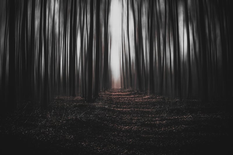 Surreal landscape with magical creatures